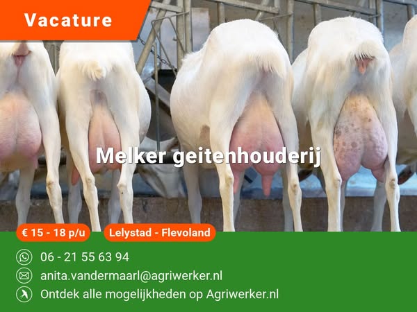 Melker geitenhouderij | Agriwerker.nl