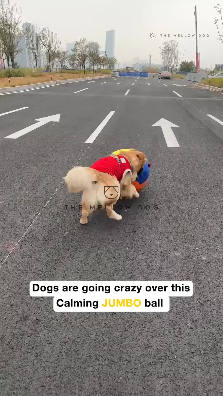Drop it once. Pure joy. Every single time.