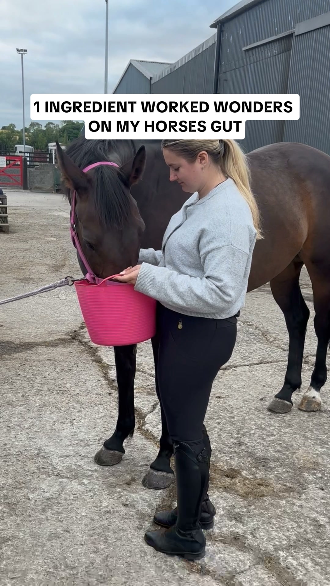 Purpose-Built Nutrition for Horses.
