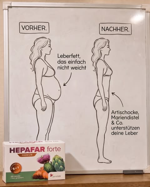 Wenn der Bauch nicht weicht, hilft die Leber