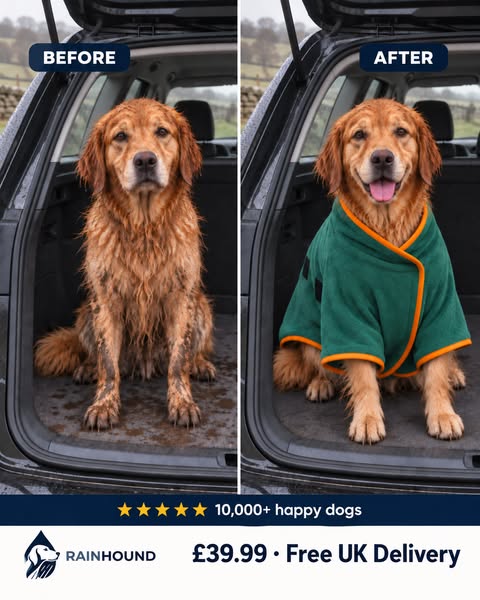 Wet Dog? Not in Your Car.