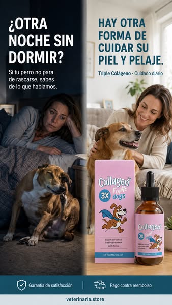 Pago contra Reembolso + Envío Gratis 24/48Hs