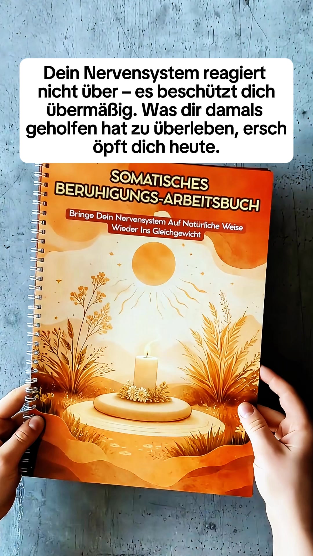 Arbeitsbuch für Somatische Therapie