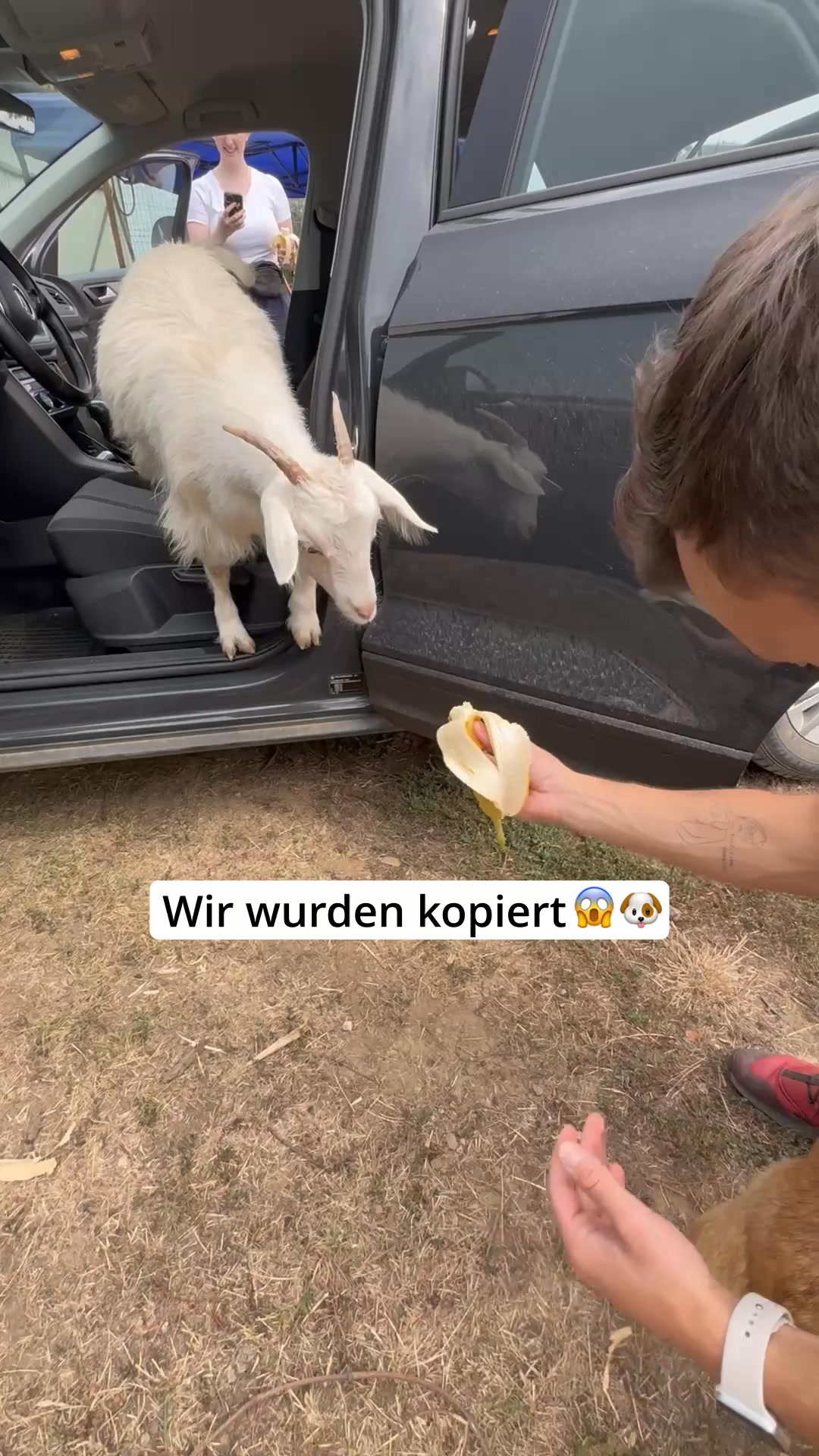 Mit Tierärzten sorgfältig entwickelt!