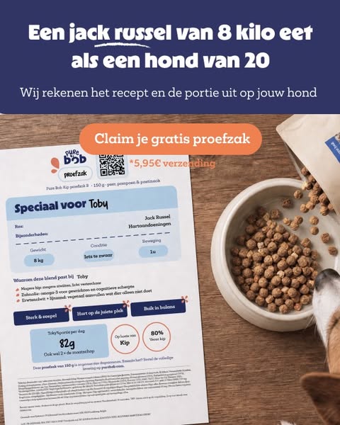 Hoe 2 Belgen hondenvoeding maken