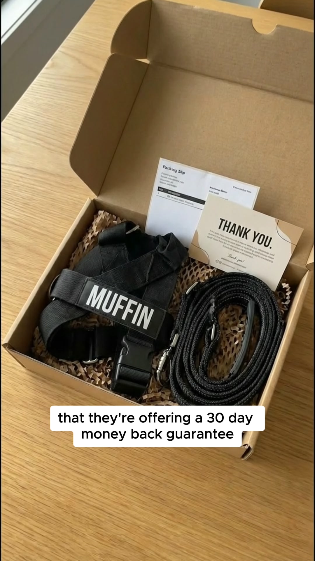 FREE LEASH TODAY