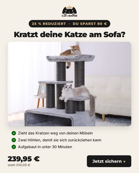 239,95 € statt 319,95 €