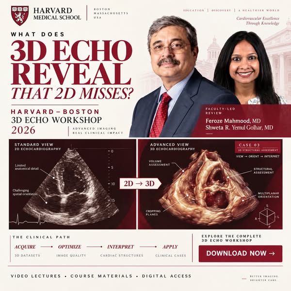 Harvard Boston 3D Echo Workshop 2026