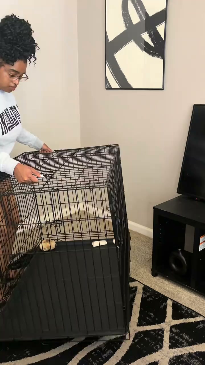 Still Smells Like Dog After Cleaning?