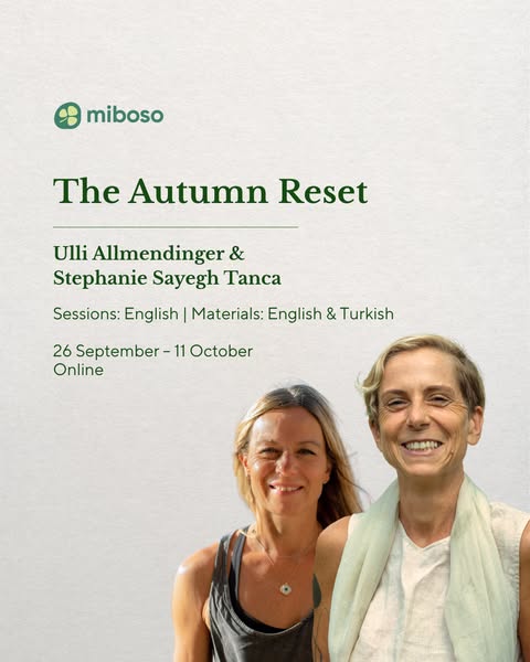 Anúncio de Miboso Wellbeing