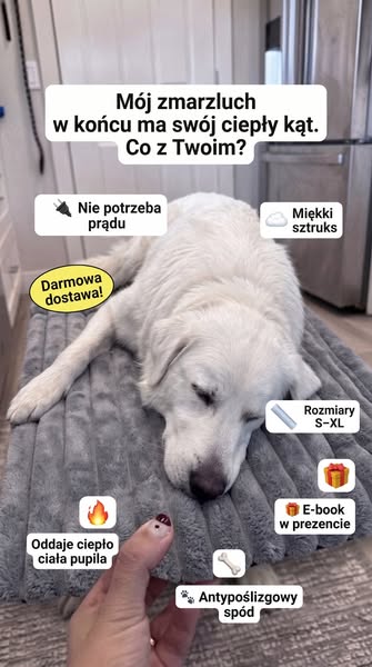 Zamów już dziś: rabat -40% i darmowa dostawa