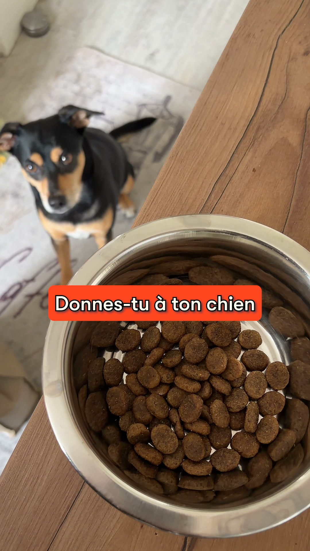 Offrez-lui le meilleur avec 30% de réduction