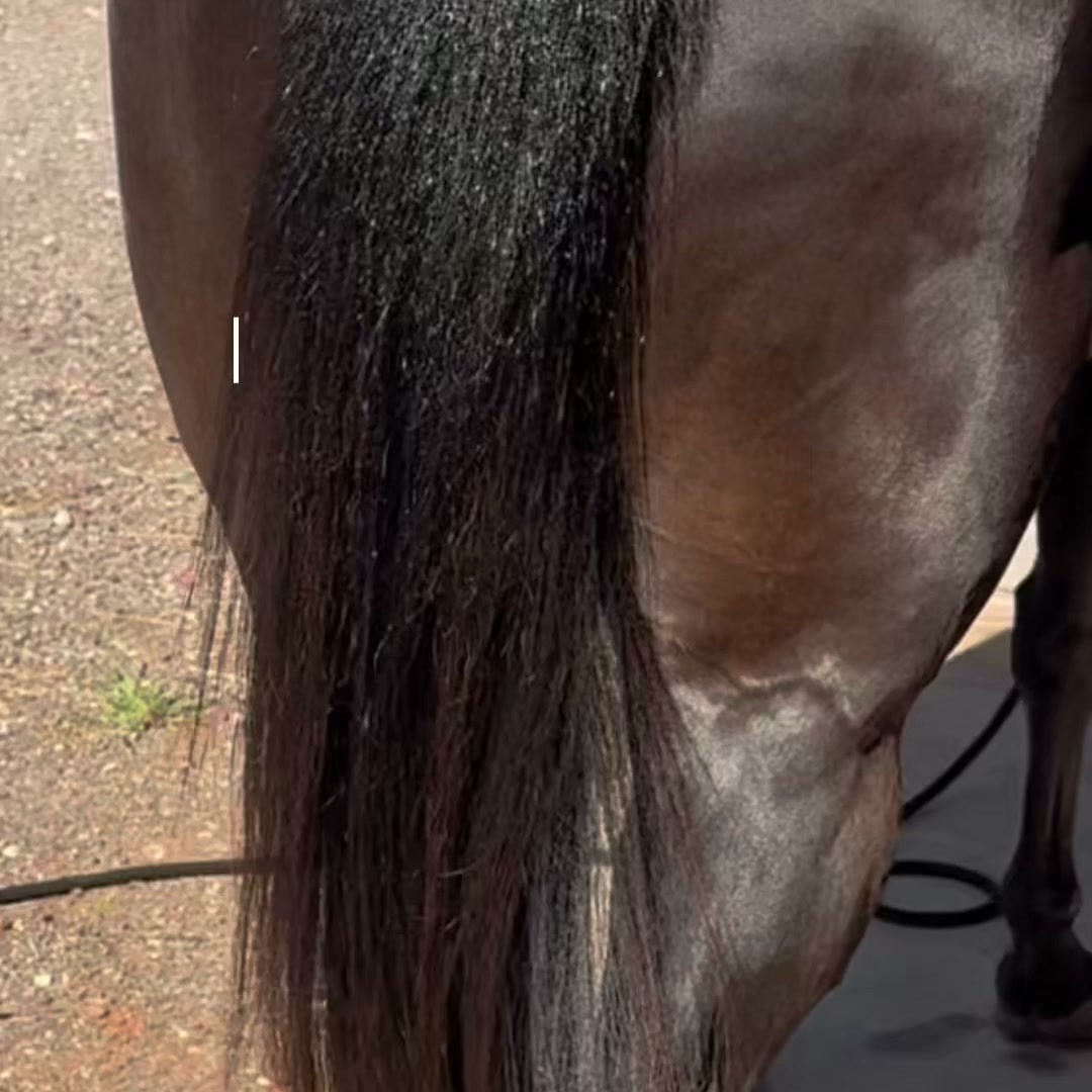 That Shine is Silicone-FREE