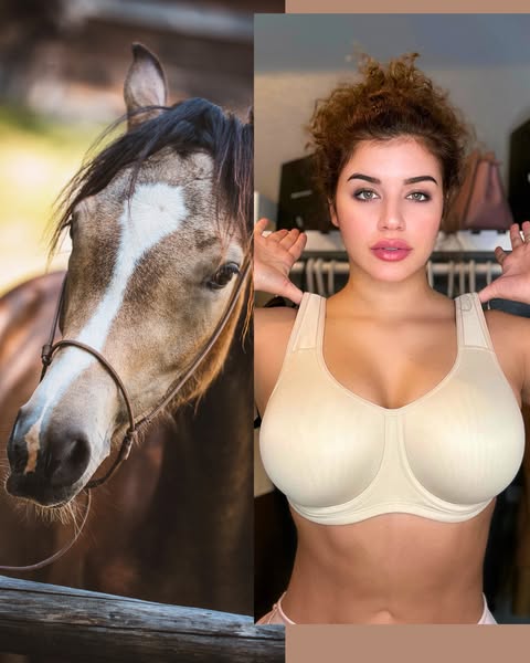 The most supportive bra for big cups