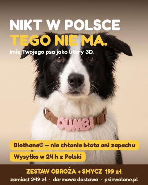 Imię psa, które widać z 5 metrów