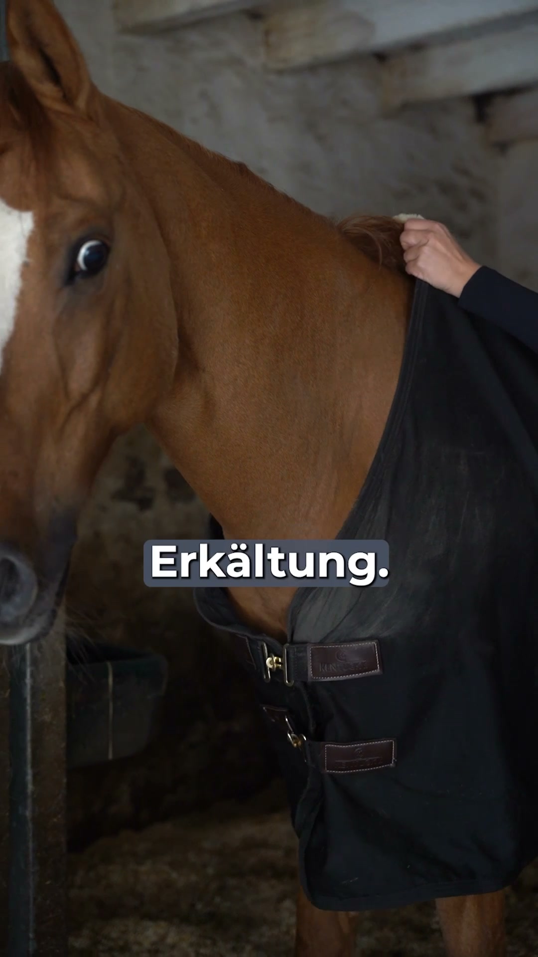 Gratis Deckenthermometer zum Immun Vital