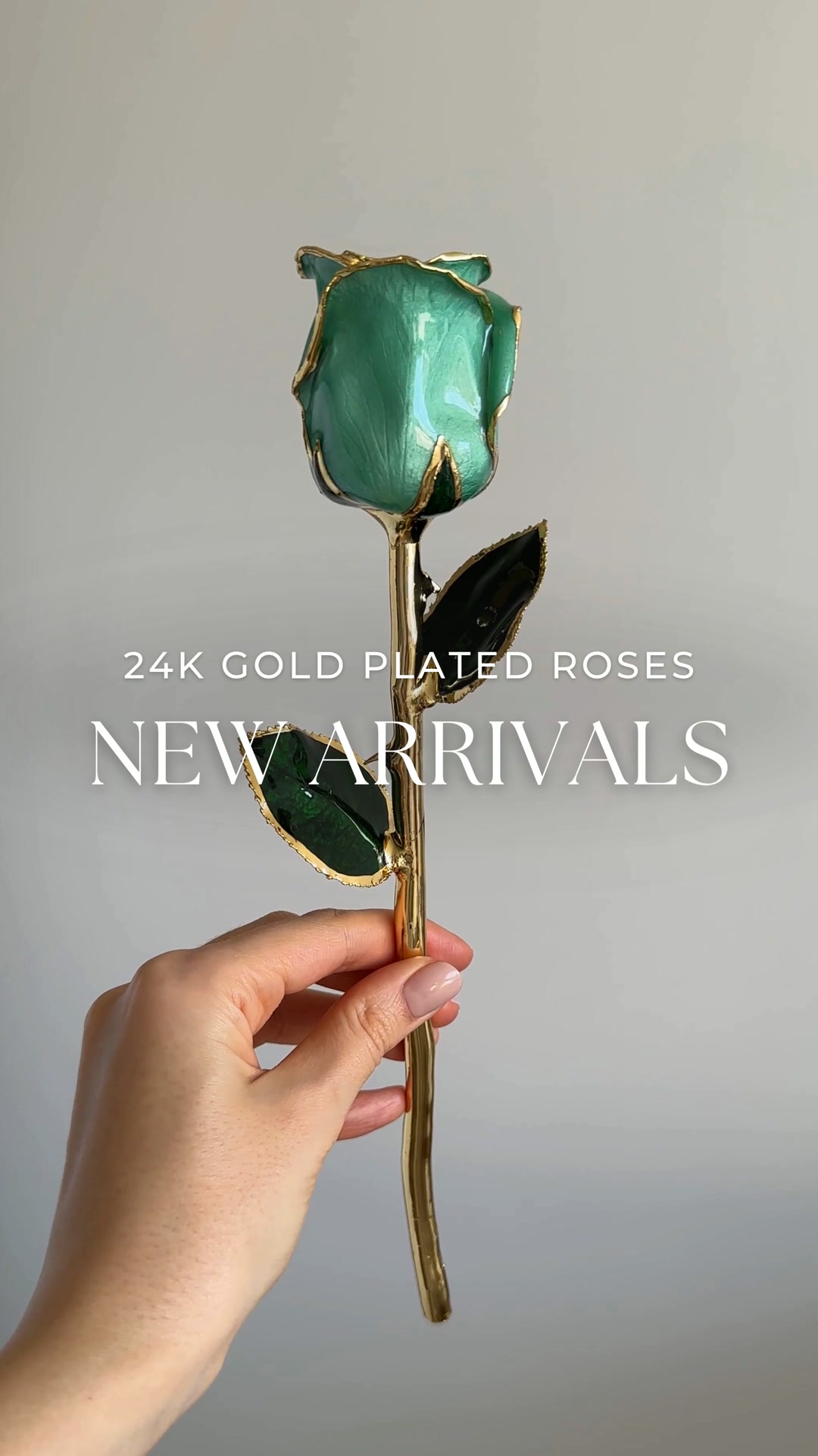 Our Newest Eternal Rose