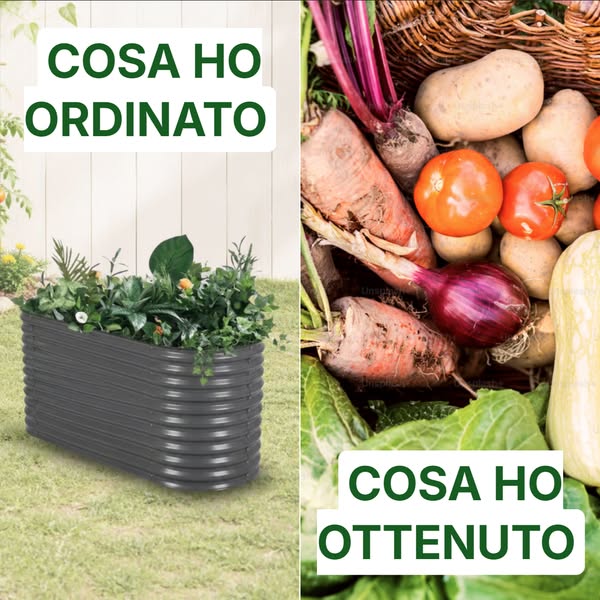 Non devi essere un giardiniere esperto per avere un orto vero