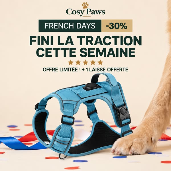 Comment empêcher son chien de tirer sur sa laisse sans dressage