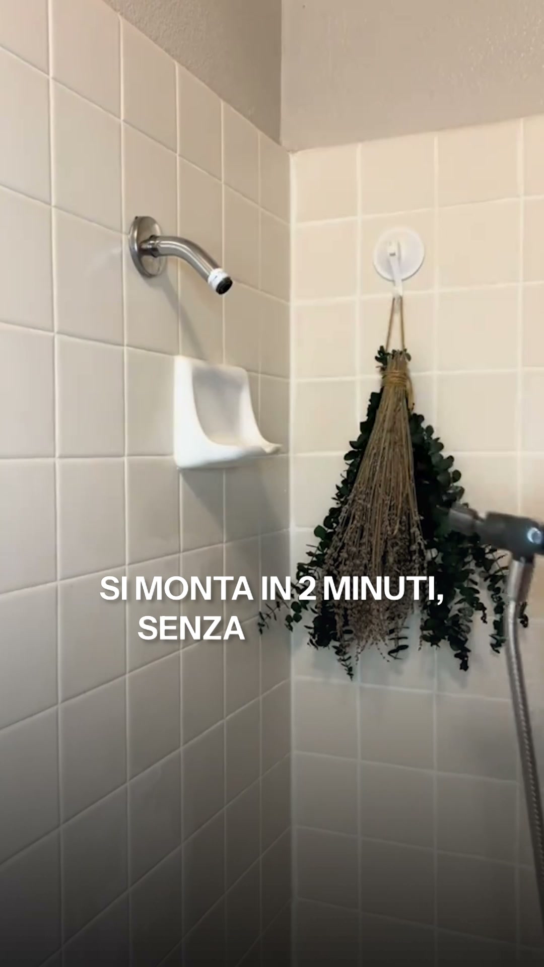 Spedizione Gratuita