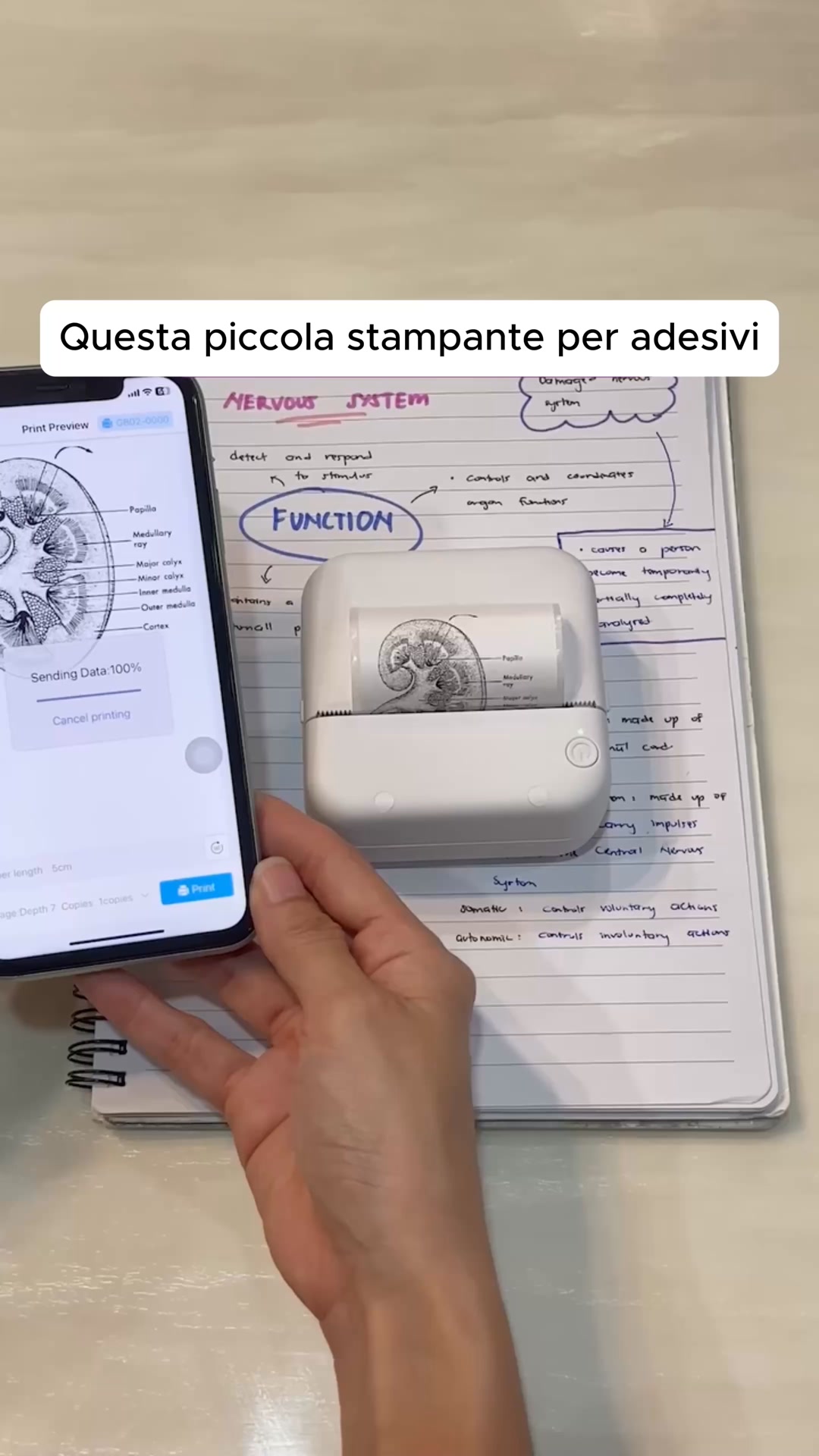 Fino al 70% di SCONTO