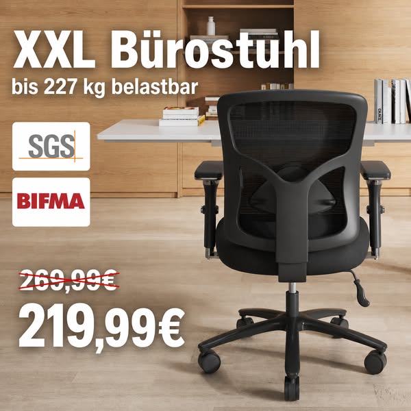Schwerlast-Bürostuhl C3 | FlexiSpot