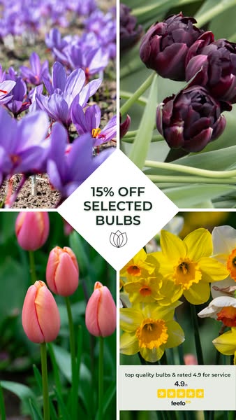 15% off Selected Spring Bulbs