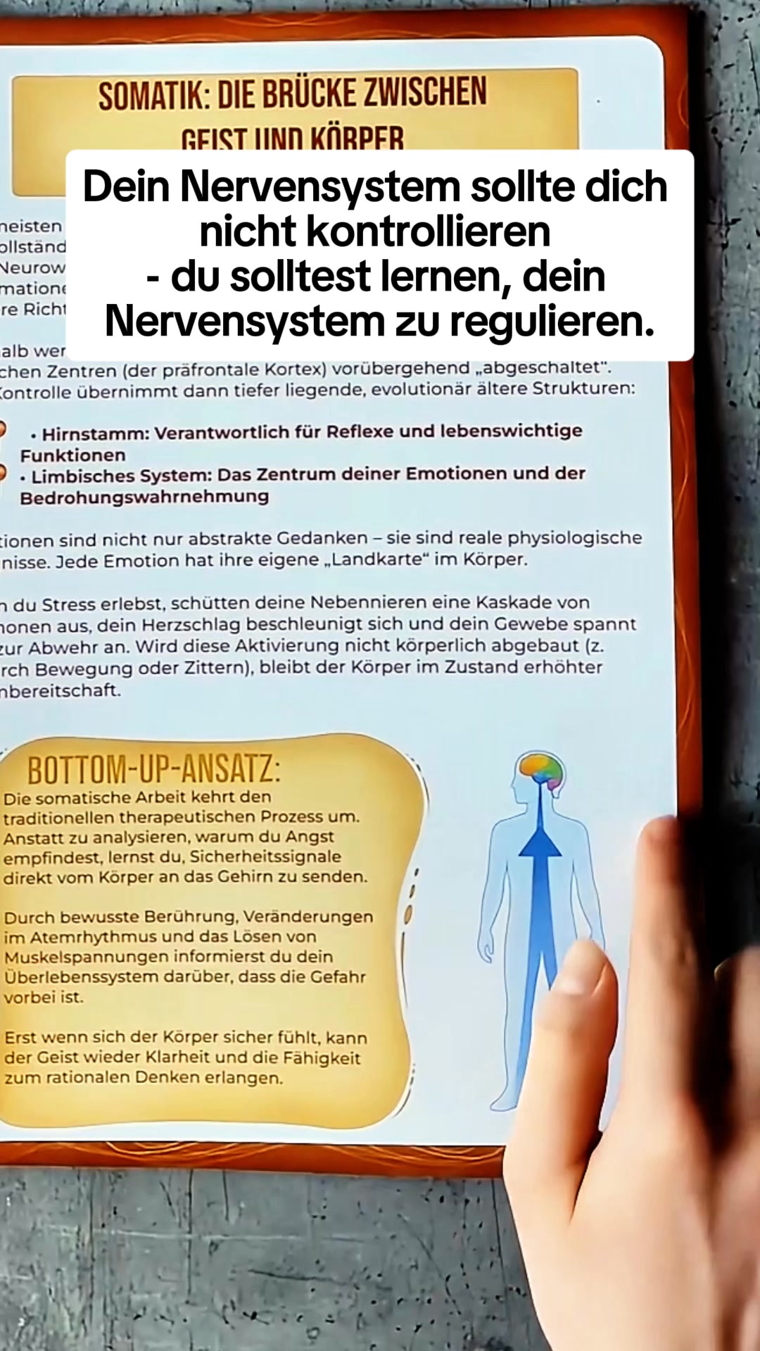 Arbeitsbuch für Somatische Therapie