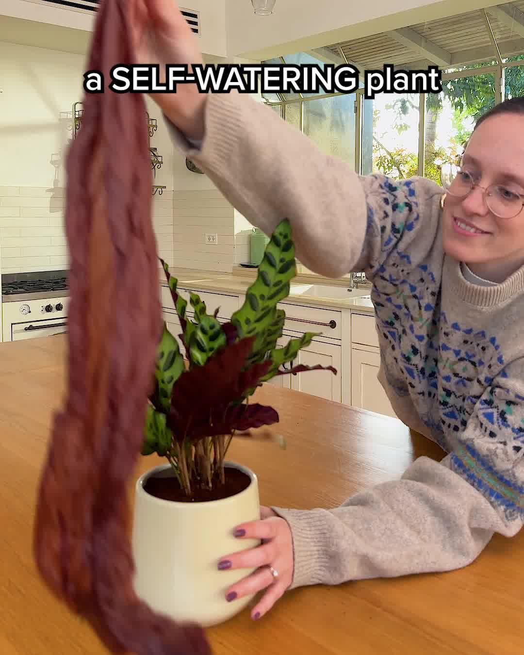 These are NO ordinary plants!