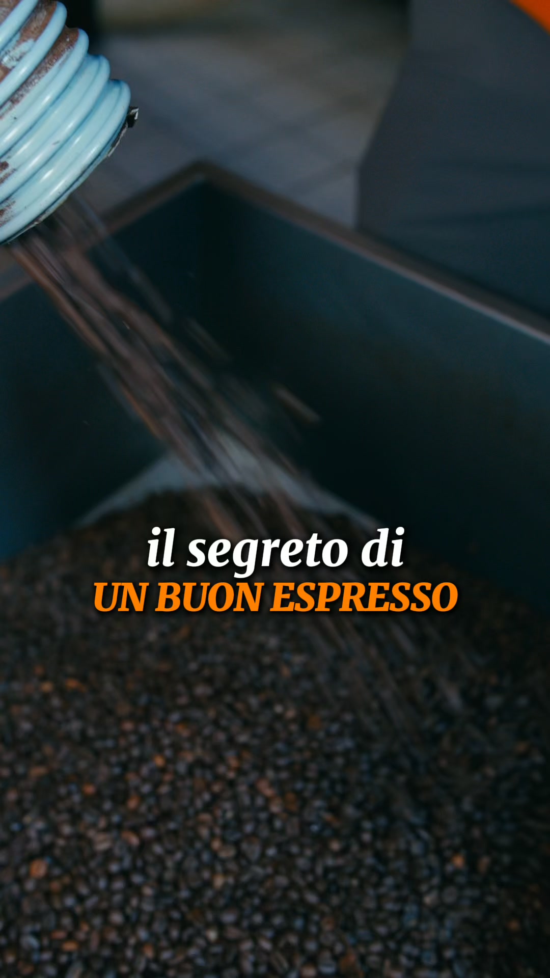 Completa l'ordine, a casa in 24/48h