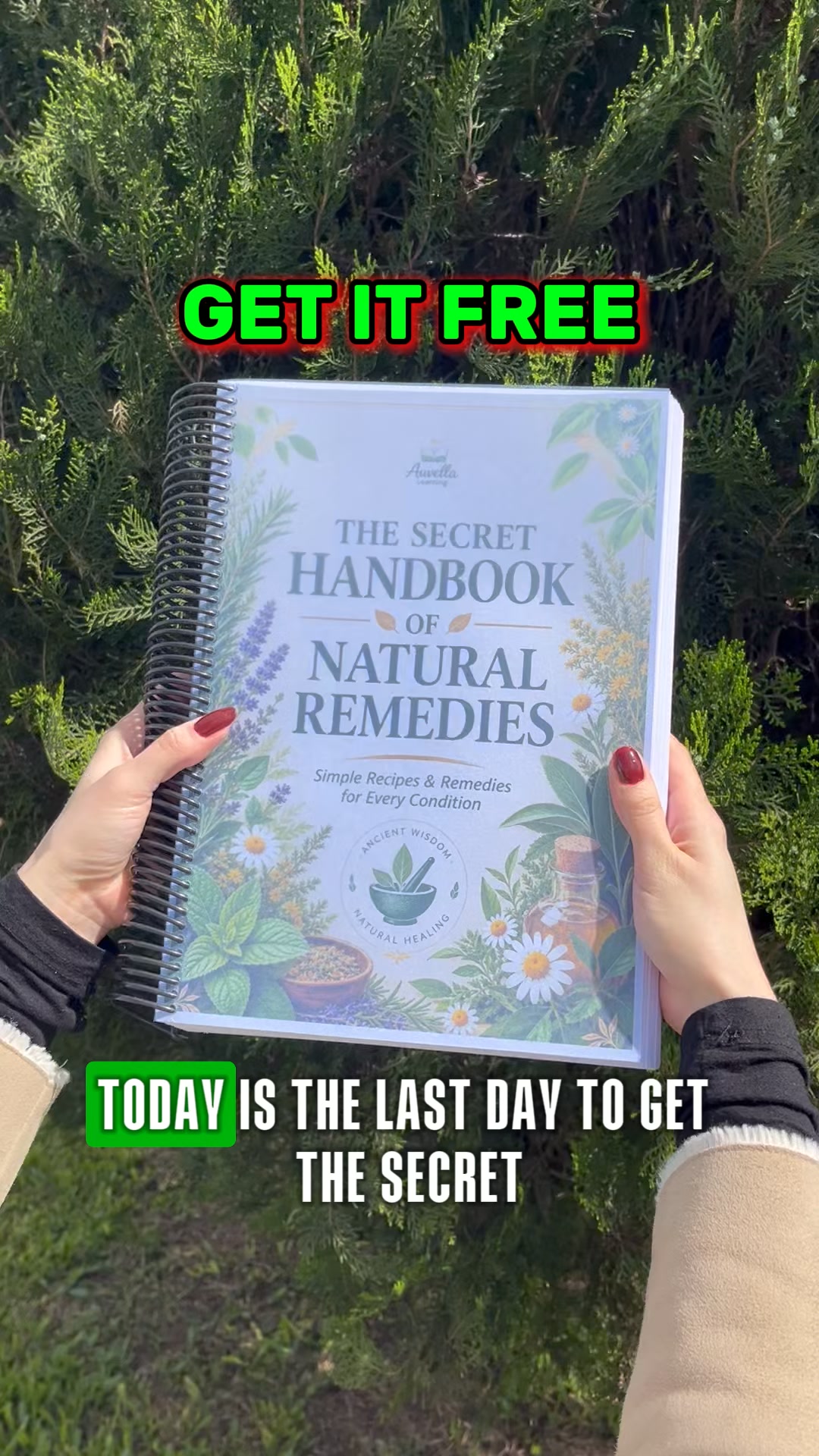 Get Your Handbook FREE Today