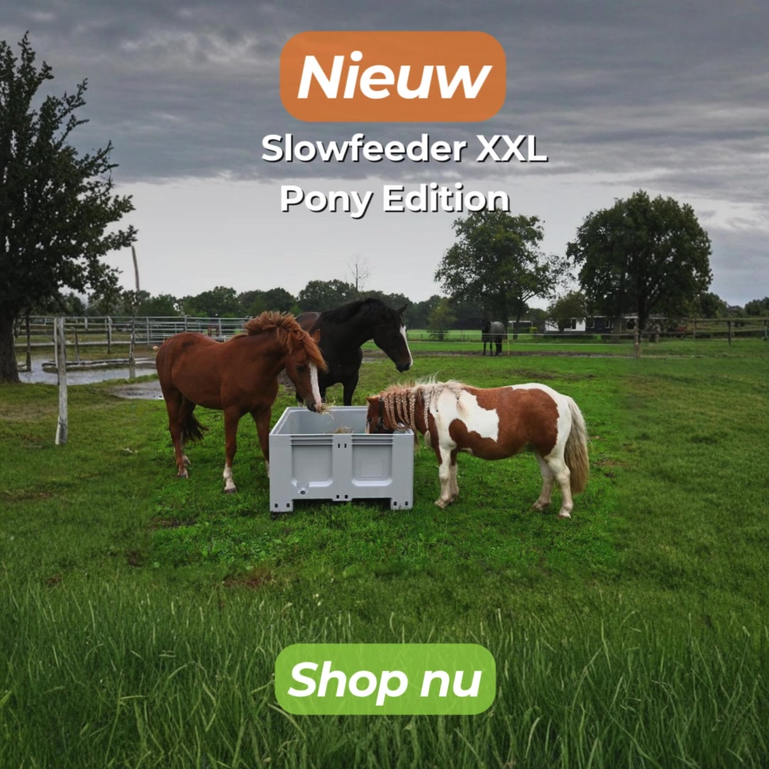Vandaag besteld, snel in huis!