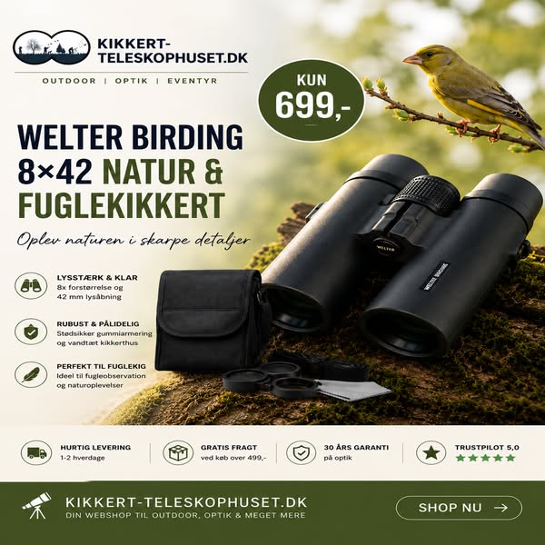 Welter Birding x42 Natur og Fuglekikkert