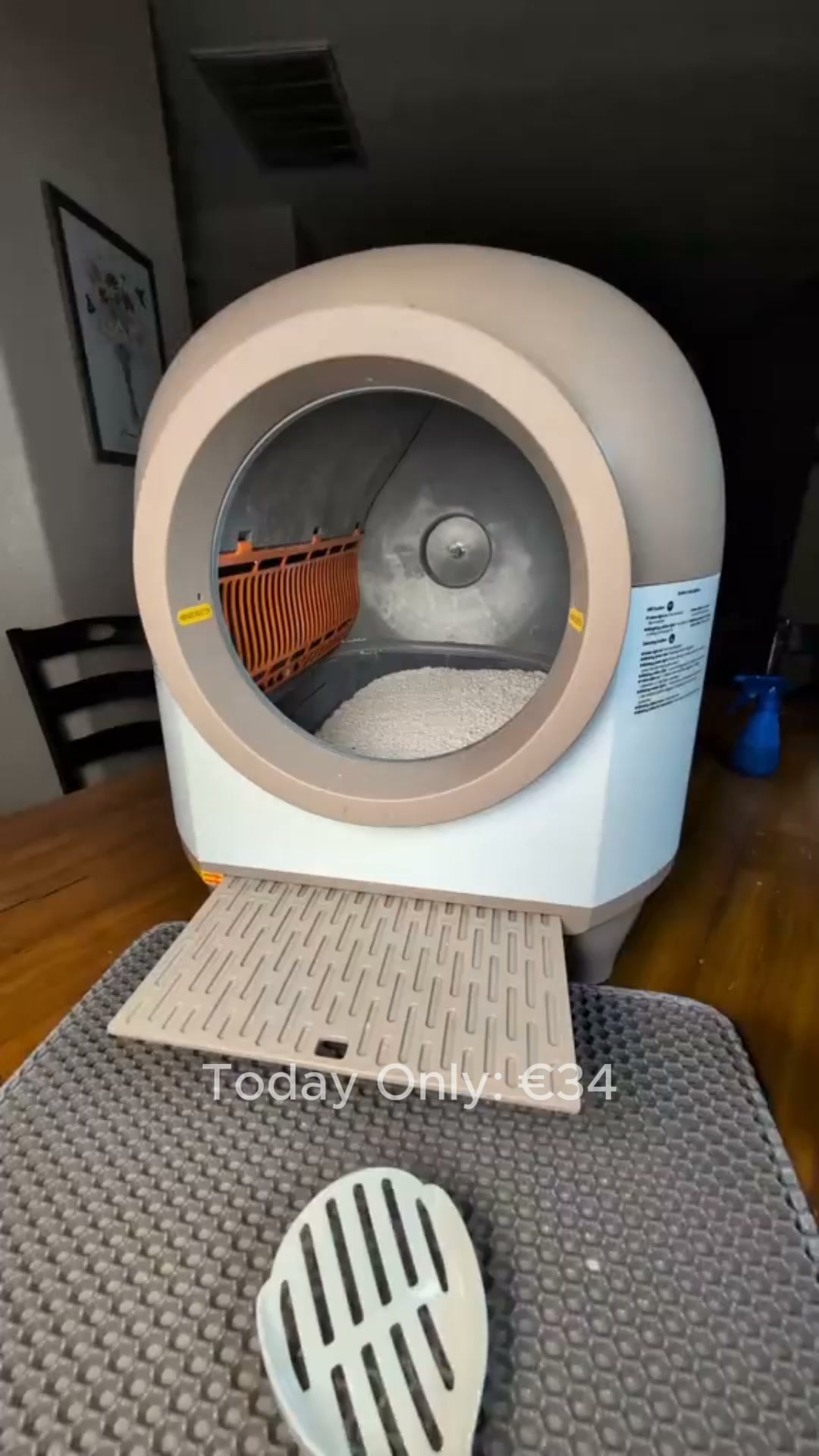 Say Goodbye to Constant Litter Box Cleaning