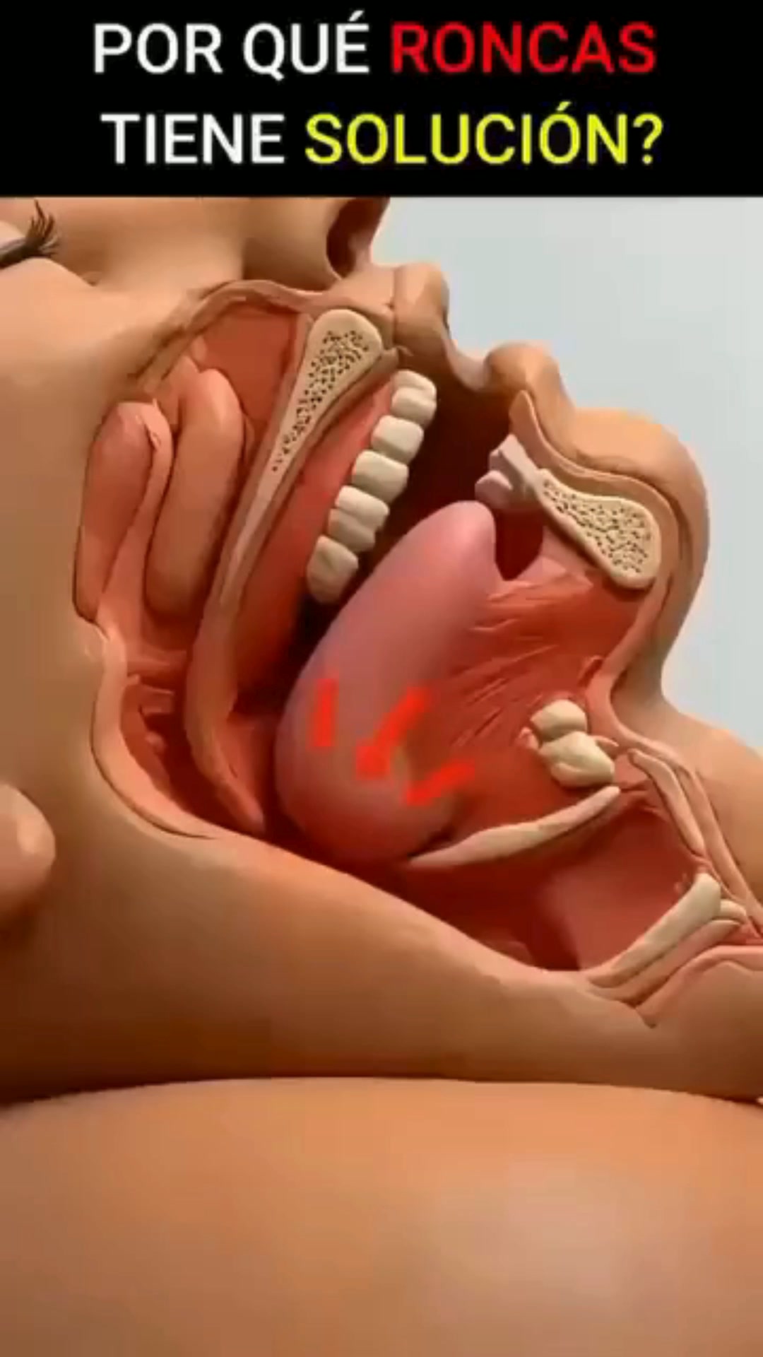 Despertaras mucho mejor!