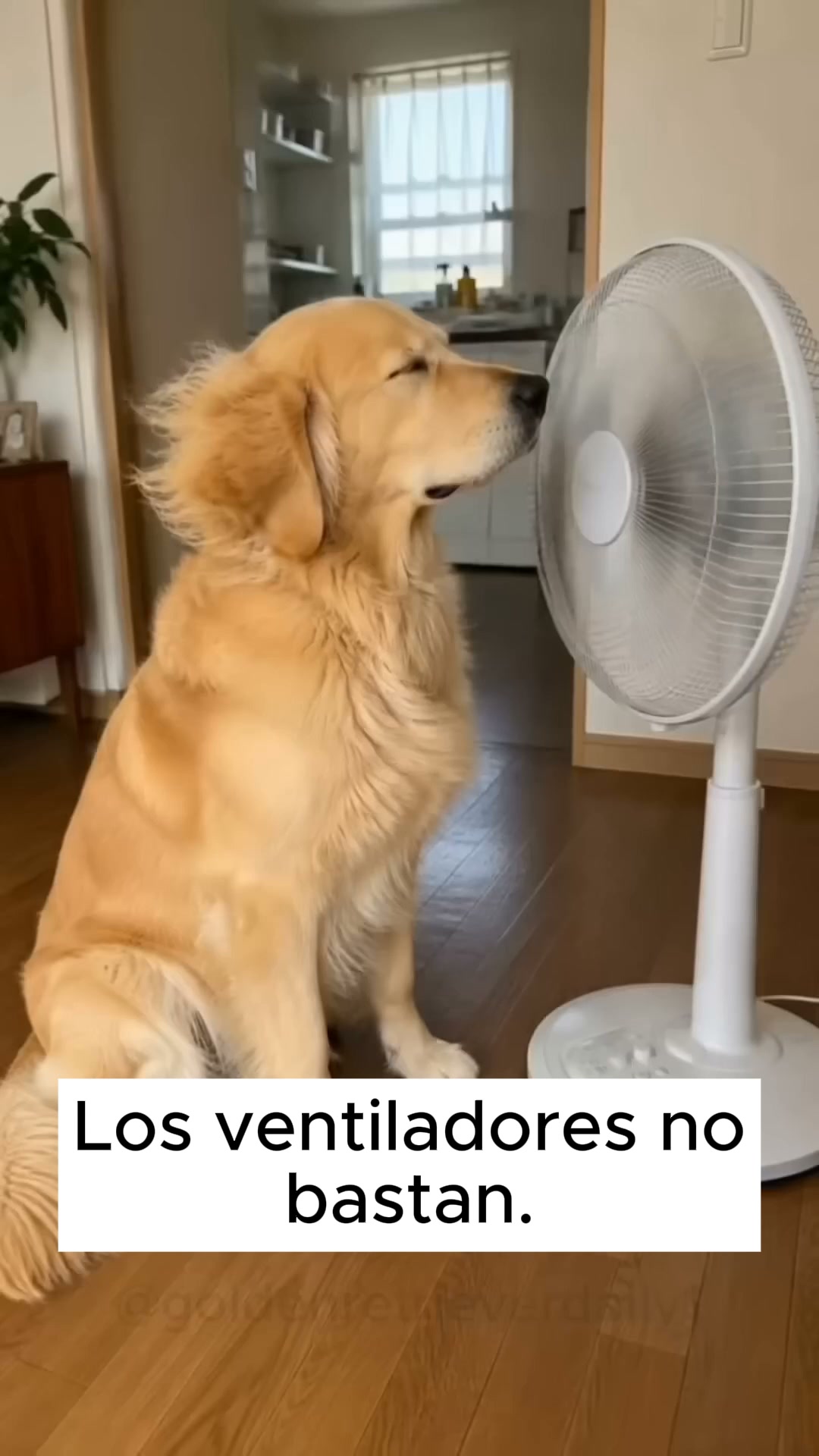 Dale su rincón fresco este verano