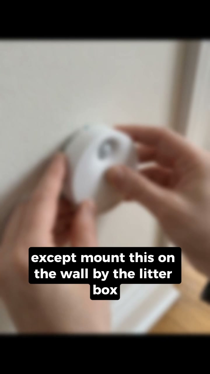 What Happens to Your Nose After Living With Cats for a Year