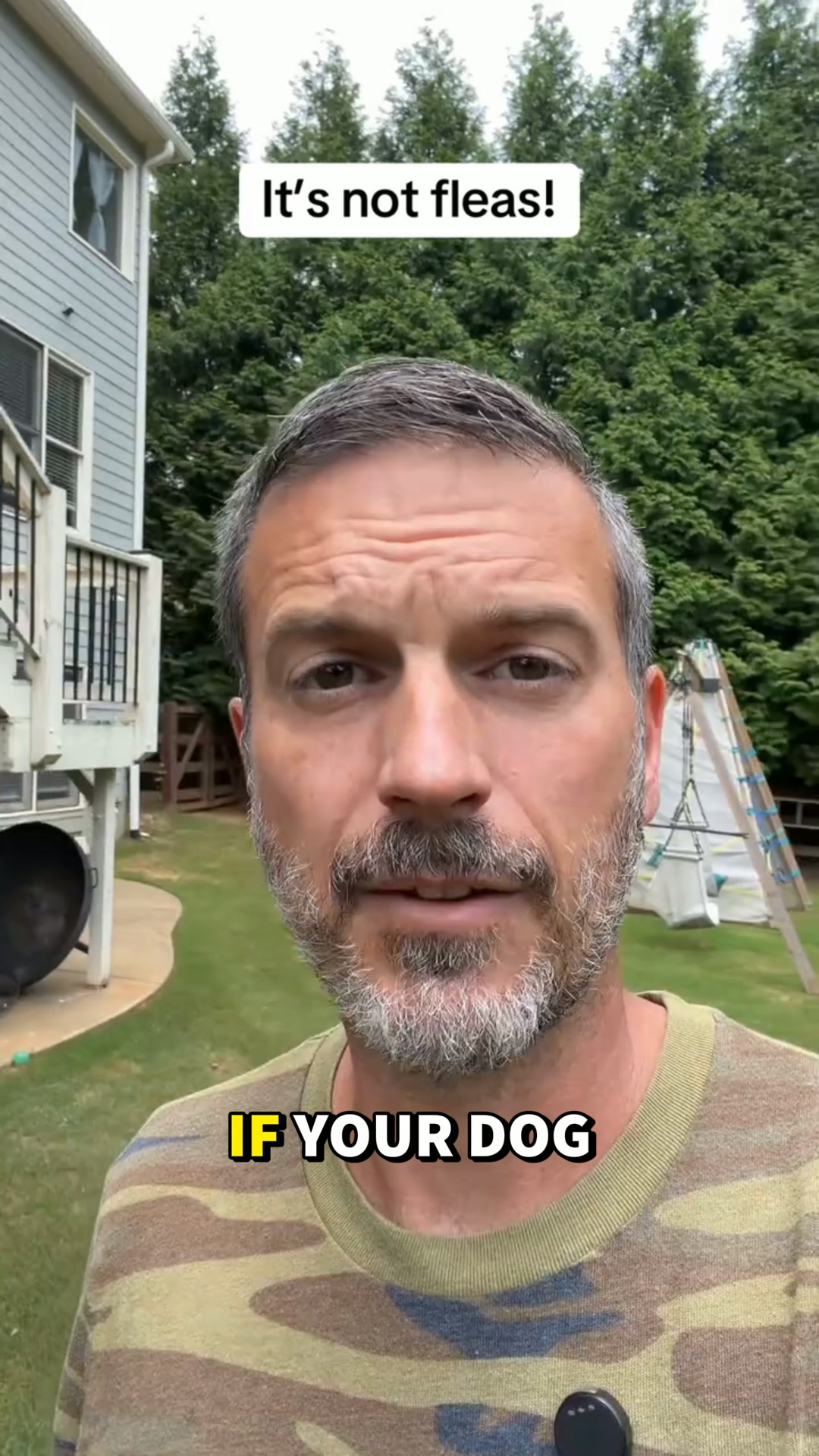 That Paw-Licking Sound… IYKYK
