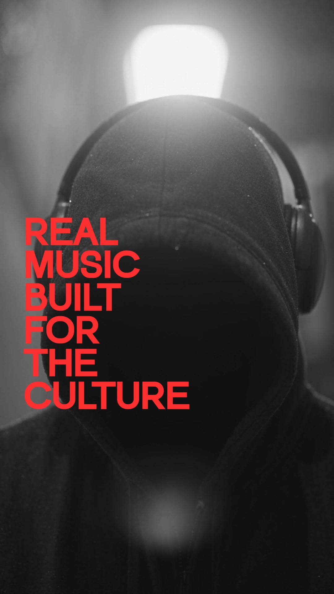 CRACKED Latin Bass Samples + Presets