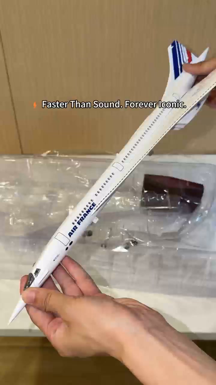 Air France Concorde | Modèle de Collection 1:125