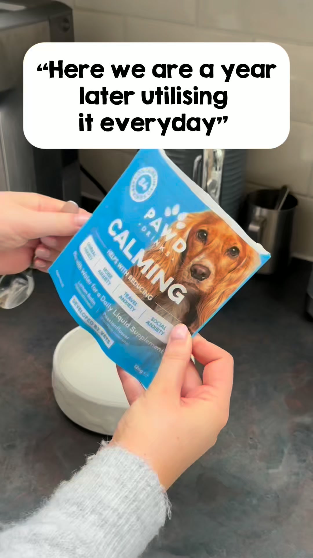 Daily Calm for Anxious Dogs