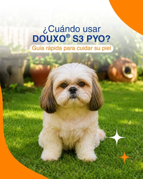 DOUXO S3 PYO - Gatos & perros - Desinfectante de pieles sanas