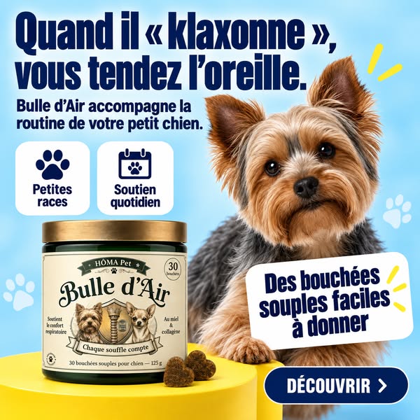 Quand il « klaxonne », vous tendez l’oreille.