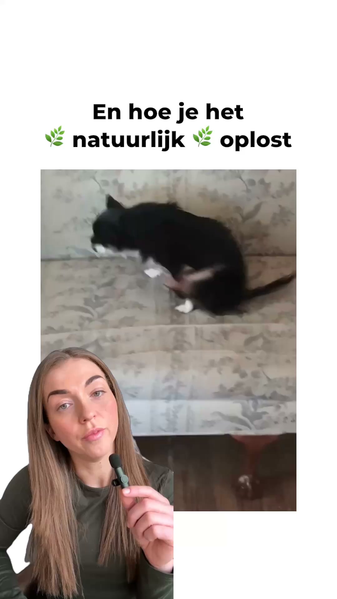 Blijft je hond sleetje rijden? Kijk dit even