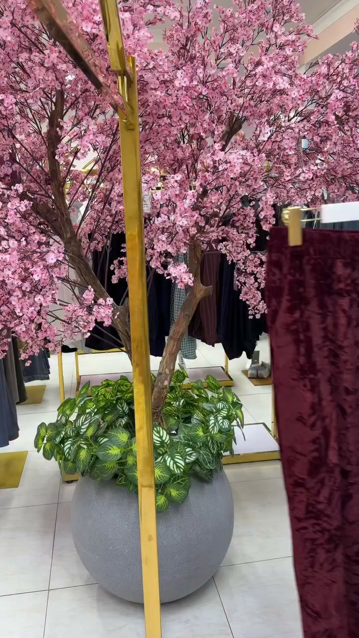 Oferta specjalna: 50% taniej