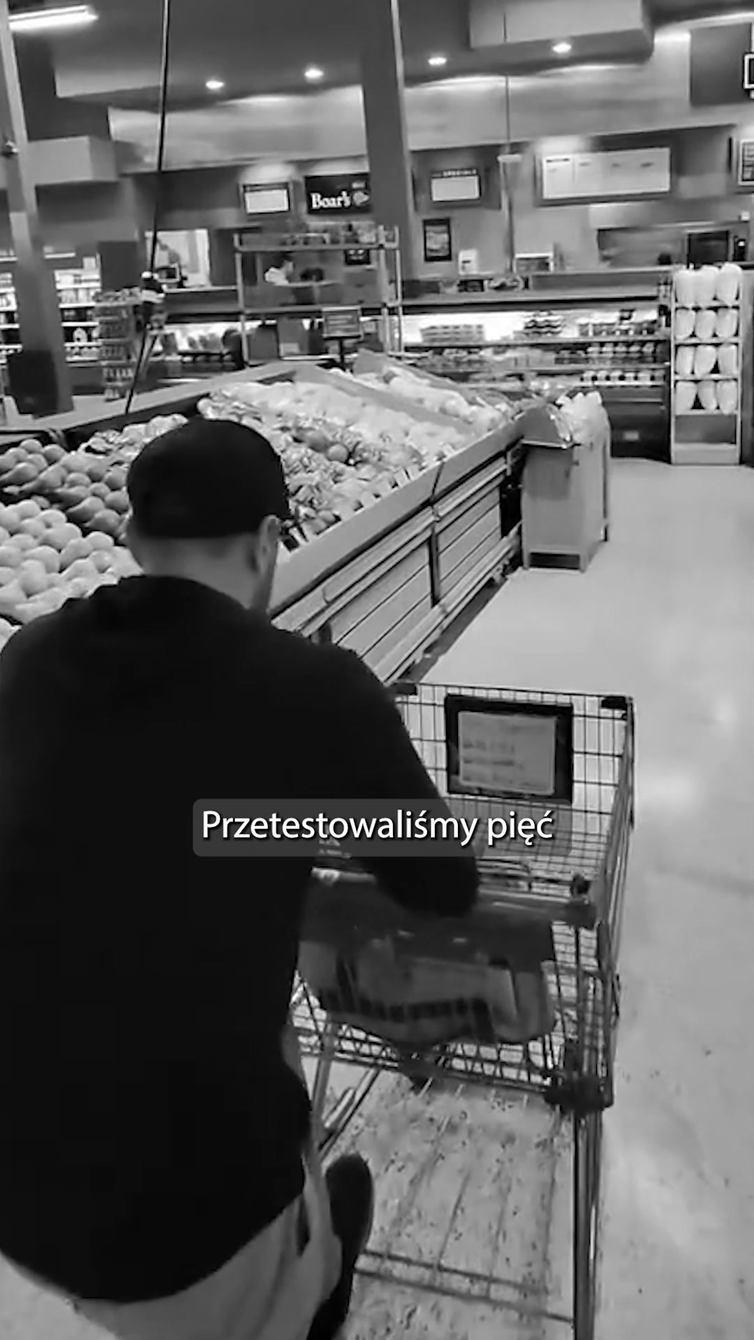 Tłumacz natychmiastowy. Rabat -70%