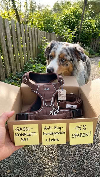 In 2-4 Tagen bei dir