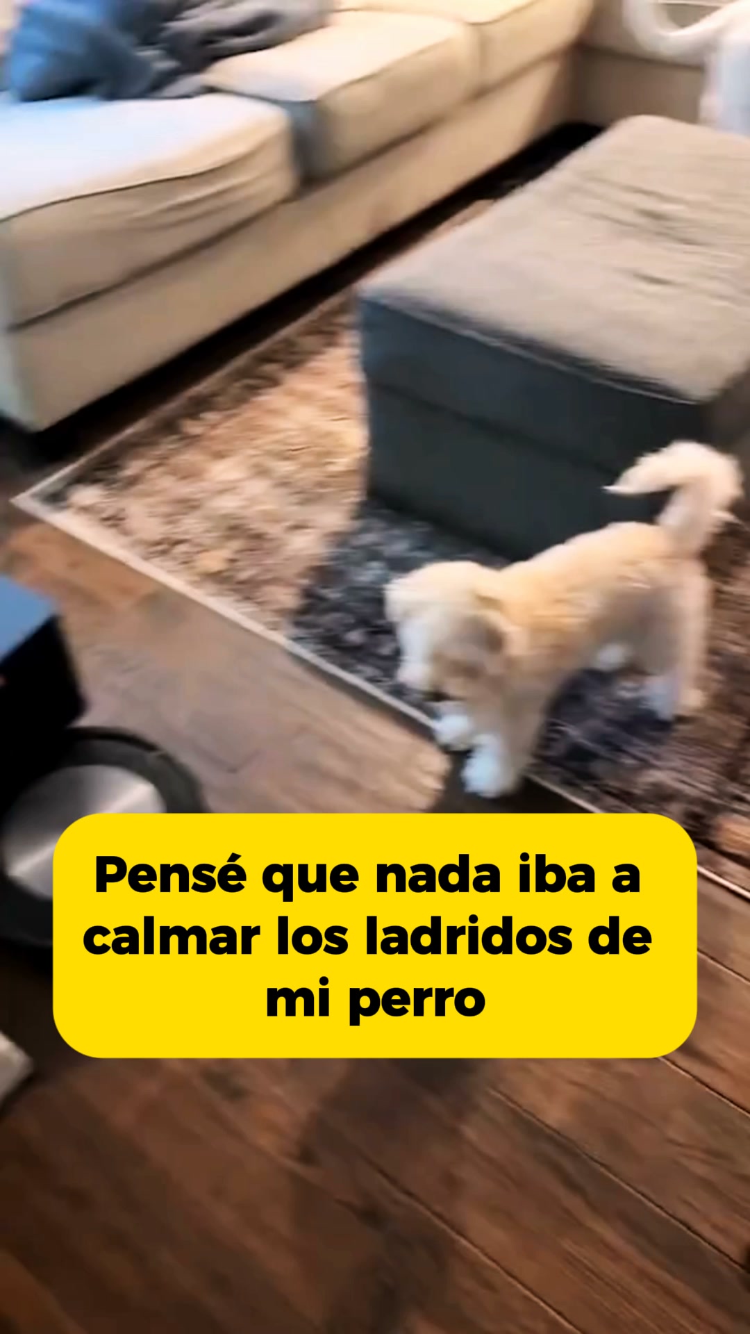 Envío gratis · Garantía 100 días