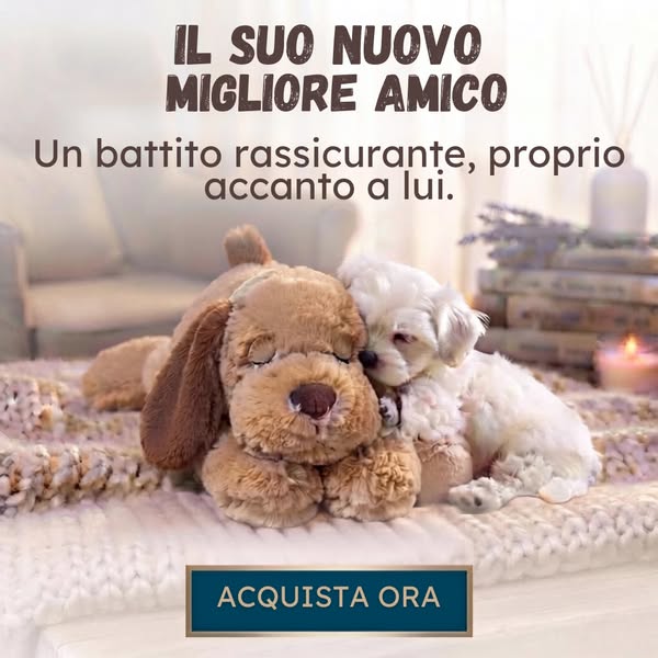 Spedizione Gratuita