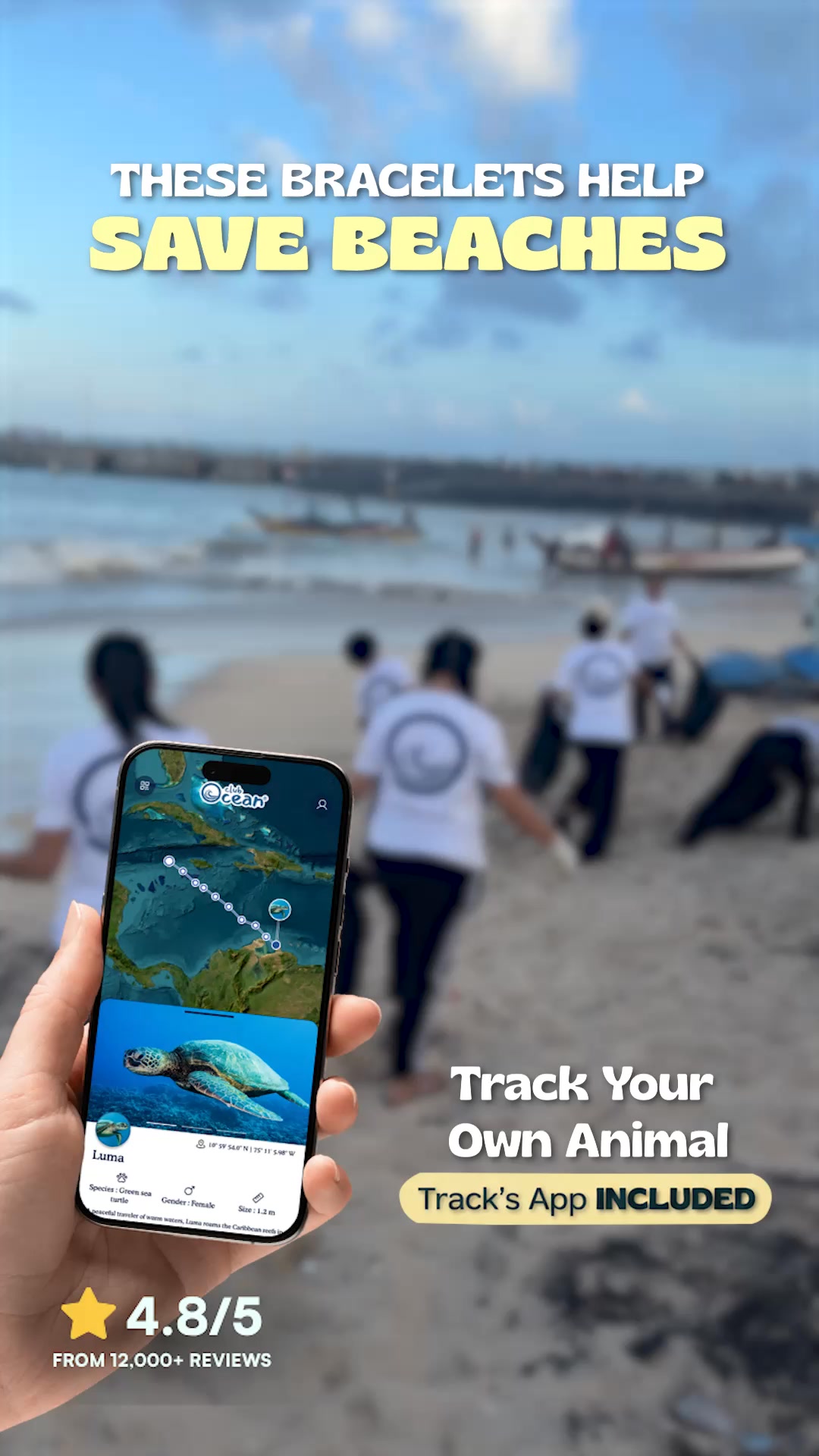 For Those Who Love the Ocean